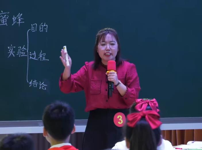 宿彩霞，《蜜蜂》，三年級下冊，第四單位