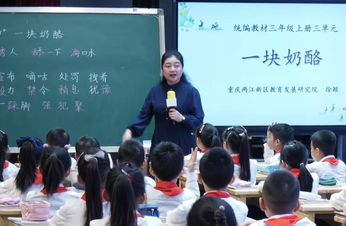 徐穎《一塊奶酪》，三年級(jí)上冊(cè)