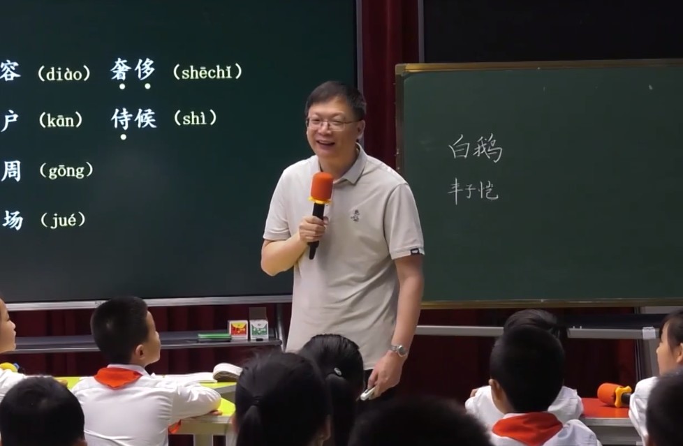 薛法根，《白鵝》，四年級(jí)下冊(cè)，第四單元