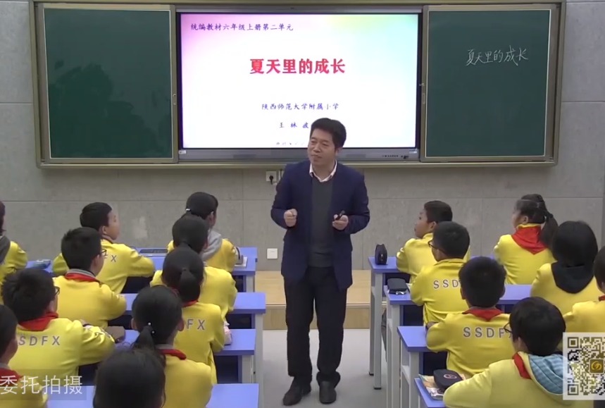王林波《夏天里的成長》+微講座，六年級上冊五單元